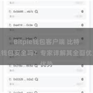 Bitpie钱包客户端 比特派钱包安全吗？专家详解其全面优势