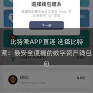 比特派APP直连 选择比特派：最安全便捷的数字资产钱包