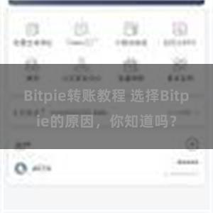 Bitpie转账教程 选择Bitpie的原因，你知道吗？