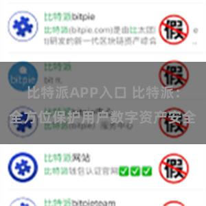 比特派APP入口 比特派：全方位保护用户数字资产安全