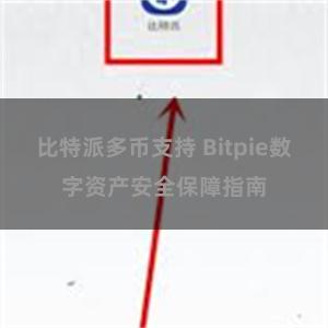 比特派多币支持 Bitpie数字资产安全保障指南