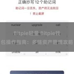 Bitpie轻量 Bitpie钱包操作指南：多链资产管理攻略