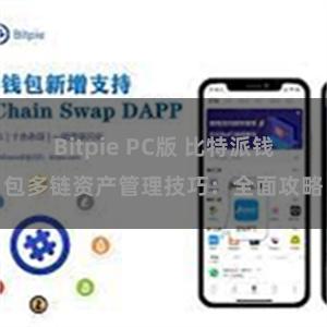 Bitpie PC版 比特派钱包多链资产管理技巧：全面攻略