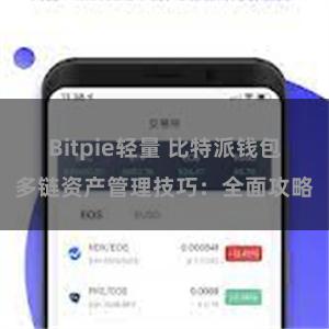 Bitpie轻量 比特派钱包多链资产管理技巧：全面攻略