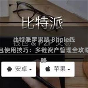 比特派苹果版 Bitpie钱包使用技巧：多链资产管理全攻略