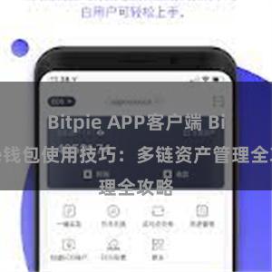 Bitpie APP客户端 Bitpie钱包使用技巧：多链资产管理全攻略