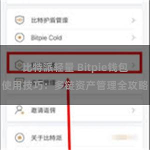 比特派轻量 Bitpie钱包使用技巧：多链资产管理全攻略