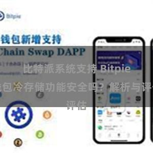 比特派系统支持 Bitpie钱包冷存储功能安全吗？解析与评估