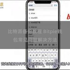 比特派备份教程 Bitpie钱包常见问题解决方法