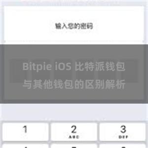 Bitpie iOS 比特派钱包与其他钱包的区别解析