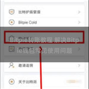 Bitpie转账教程 解决Bitpie钱包常见使用问题