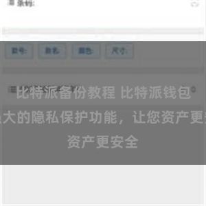 比特派备份教程 比特派钱包：强大的隐私保护功能，让您资产更安全