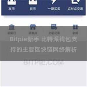 Bitpie新手 比特派钱包支持的主要区块链网络解析