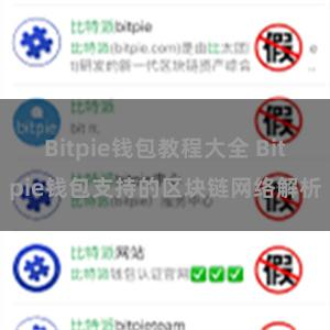 Bitpie钱包教程大全 Bitpie钱包支持的区块链网络解析