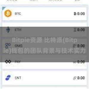 Bitpie资源 比特派(Bitpie)钱包的团队背景与技术实力