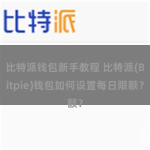 比特派钱包新手教程 比特派(Bitpie)钱包如何设置每日限额？