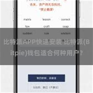 比特派APP快速安装 比特派(Bitpie)钱包适合何种用户？