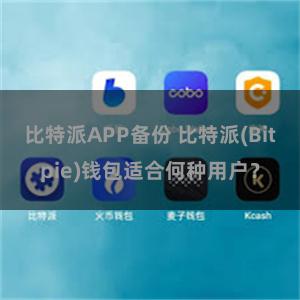 比特派APP备份 比特派(Bitpie)钱包适合何种用户？